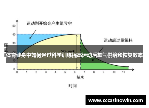 体育健身中如何通过科学训练提高运动后氧气供给和恢复效率